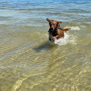 Meet your Posher, Alessia